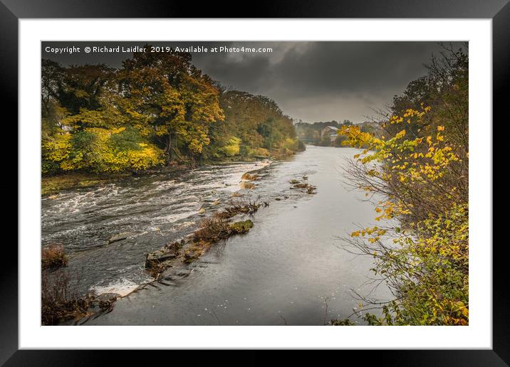 Wet Autumn on the River Tees at Barnard Castle Framed Mounted Print by Richard Laidler