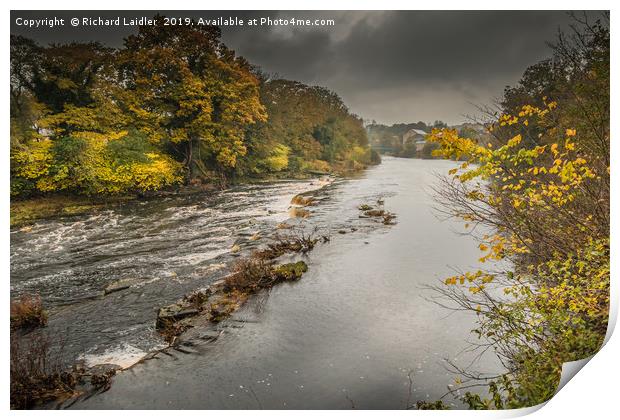 Wet Autumn on the River Tees at Barnard Castle Print by Richard Laidler