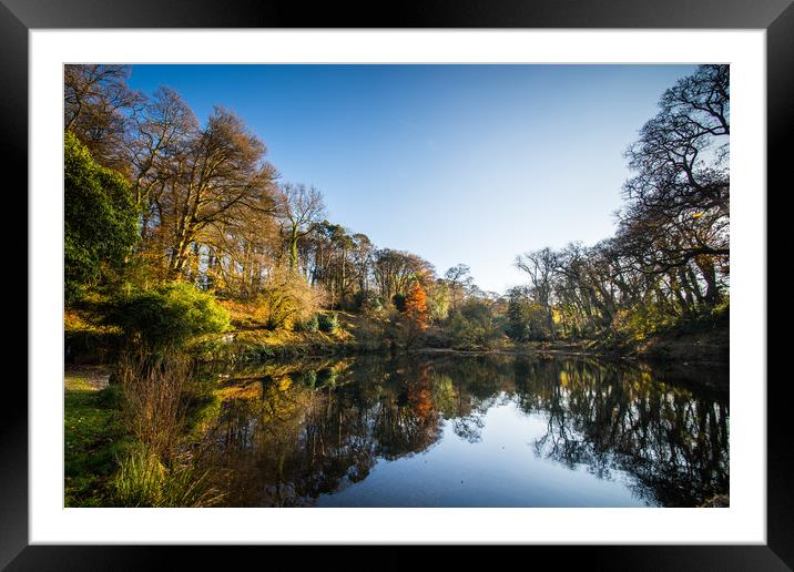 The Lake at Pencarrow House Framed Mounted Print by David Wilkins