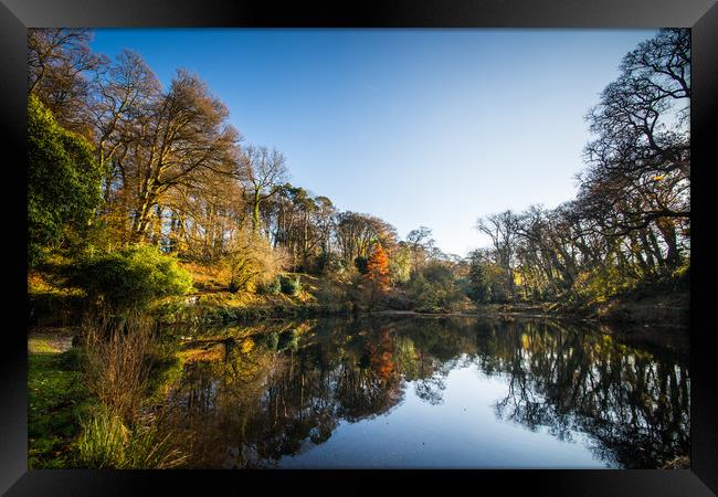 The Lake at Pencarrow House Framed Print by David Wilkins