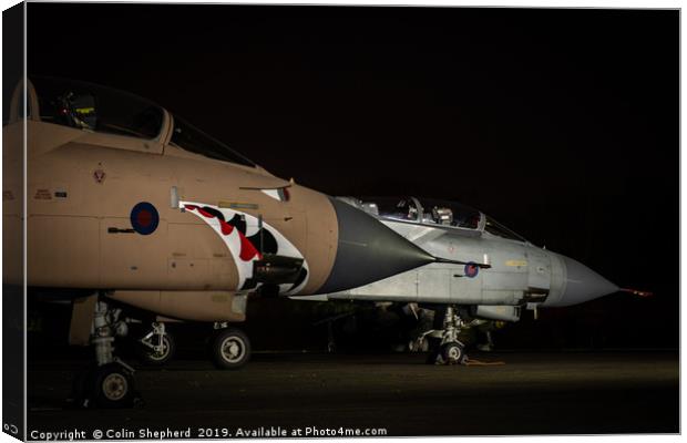 Brace of Tonka's Canvas Print by Colin Shepherd