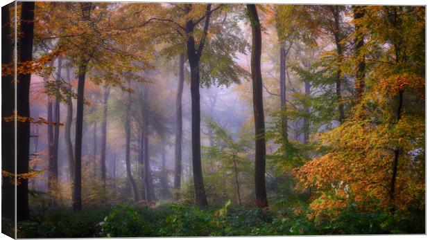 Misty Autumn Woodlands Canvas Print by Ceri Jones