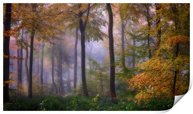 Misty Autumn Woodlands Print by Ceri Jones