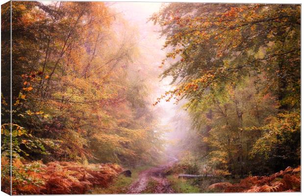 Autumn Path Canvas Print by Ceri Jones