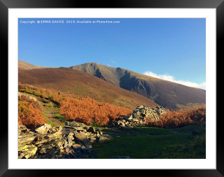 Skiddaw in the Autumn Framed Mounted Print by EMMA DANCE PHOTOGRAPHY