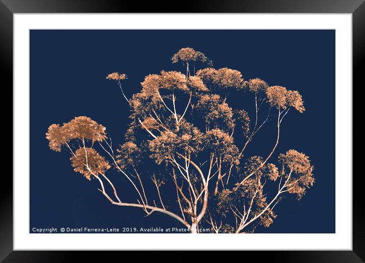 Botanical Decor Artwork Framed Mounted Print by Daniel Ferreira-Leite
