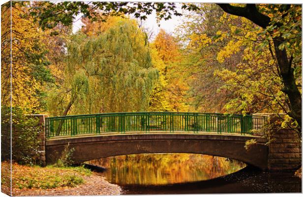 Autumnal Walkway Canvas Print by David McCulloch
