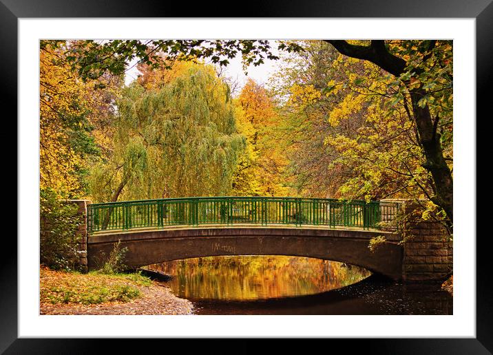 Autumnal Walkway Framed Mounted Print by David McCulloch