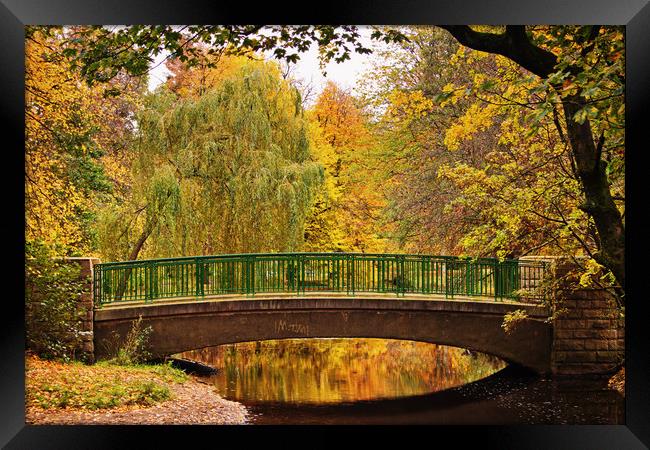 Autumnal Walkway Framed Print by David McCulloch