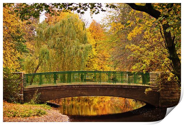 Autumnal Walkway Print by David McCulloch