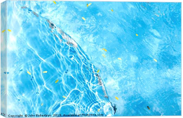 Cool Blue Pool Canvas Print by John Robertson