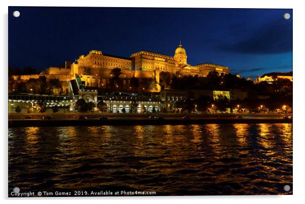 Buda Castle at Night Acrylic by Tom Gomez
