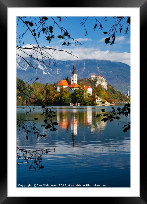 Autumn colours at Lake Bled Framed Mounted Print by Ian Middleton