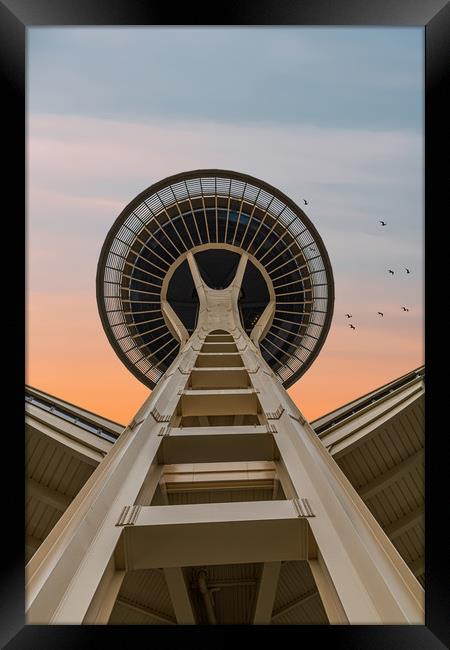 Space Needle at Dawn Framed Print by Darryl Brooks