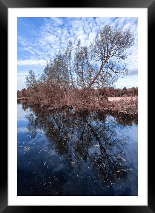 By the River Framed Mounted Print by Svetlana Sewell