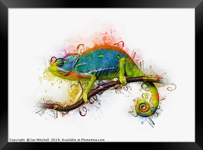 Chameleon Art Framed Print by Ian Mitchell