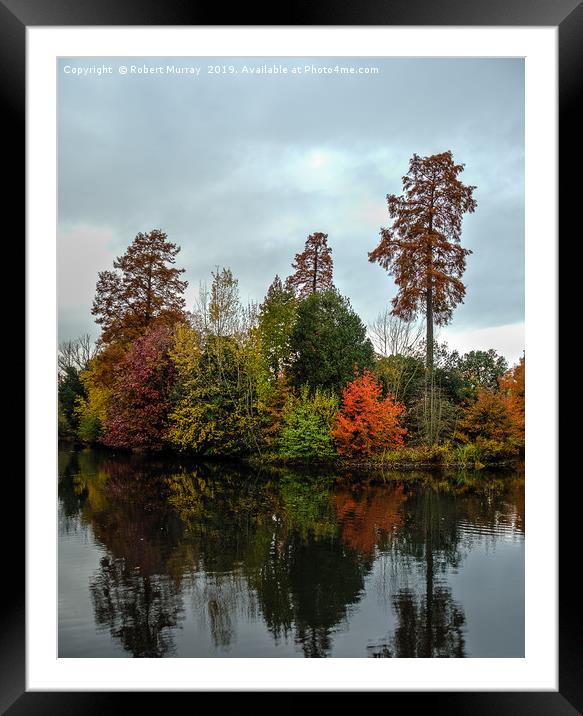  Autumn Reflections Framed Mounted Print by Robert Murray