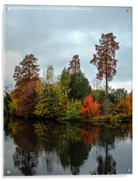  Autumn Reflections Acrylic by Robert Murray