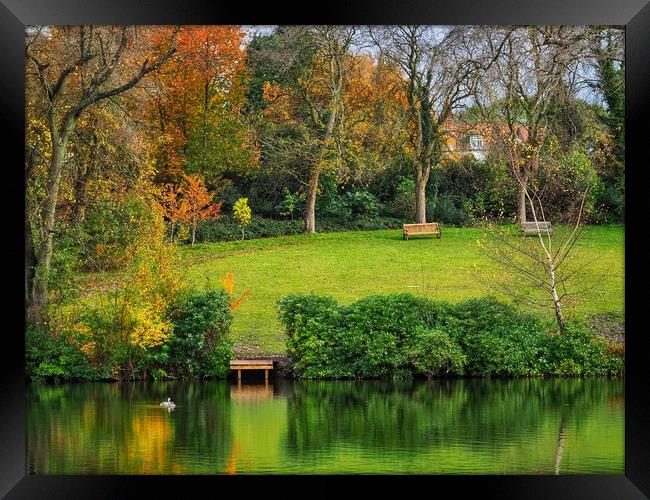 English Park in Autumn  Framed Print by Victor Burnside
