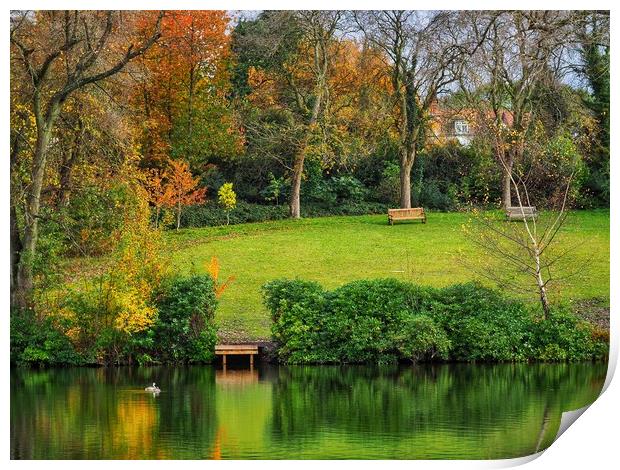 English Park in Autumn  Print by Victor Burnside