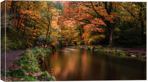 Autumn on Teign River, Devon. Canvas Print by Maggie McCall