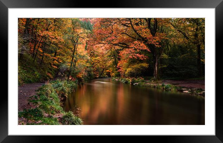 Autumn on Teign River, Devon. Framed Mounted Print by Maggie McCall