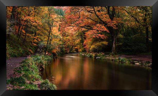 Autumn on Teign River, Devon. Framed Print by Maggie McCall