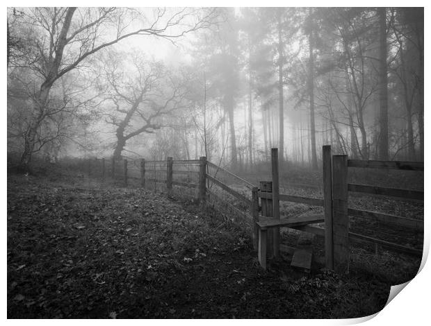 misty morning  Print by Jason Thompson