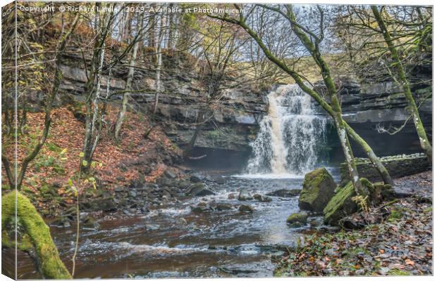 Autumn at Summerhill Force Waterfall, Teesdale Canvas Print by Richard Laidler