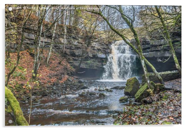 Autumn at Summerhill Force Waterfall, Teesdale Acrylic by Richard Laidler