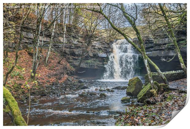 Autumn at Summerhill Force Waterfall, Teesdale Print by Richard Laidler