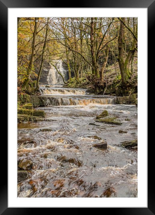 Bow Lee Beck and Summerhill Force in Autumn 1 Framed Mounted Print by Richard Laidler