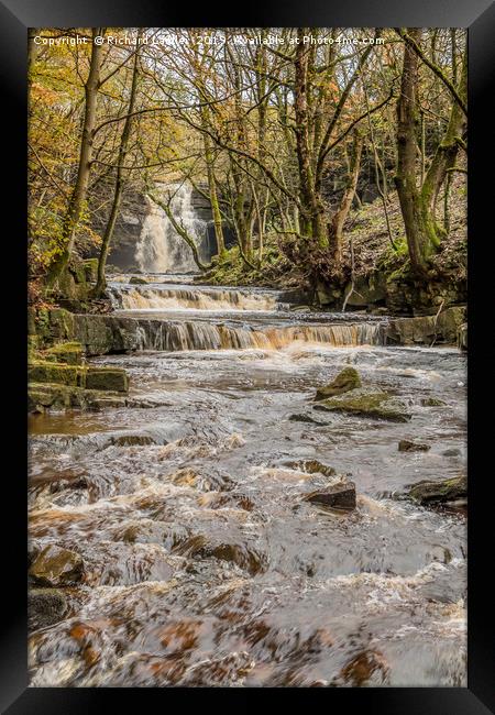 Bow Lee Beck and Summerhill Force in Autumn 1 Framed Print by Richard Laidler