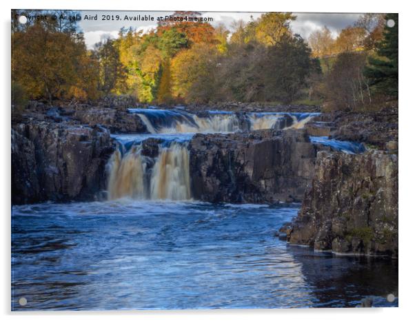 Low Force. Acrylic by Angela Aird