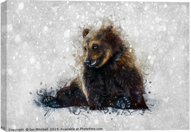 Brown Bear In The Snow Canvas Print by Ian Mitchell