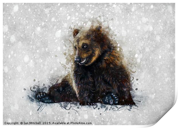 Brown Bear In The Snow Print by Ian Mitchell