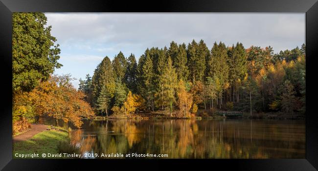 Early Autumn Reflections Framed Print by David Tinsley