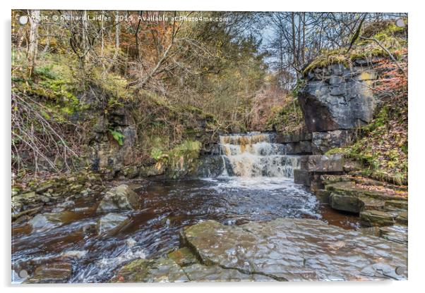 Waterfall on Bow Lee Beck at Bowlees, Teesdale Acrylic by Richard Laidler