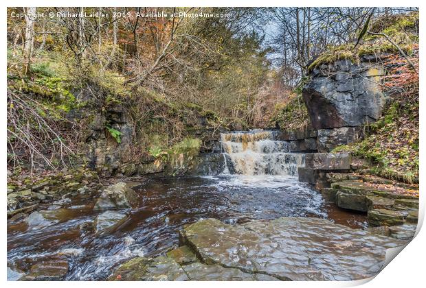 Waterfall on Bow Lee Beck at Bowlees, Teesdale Print by Richard Laidler