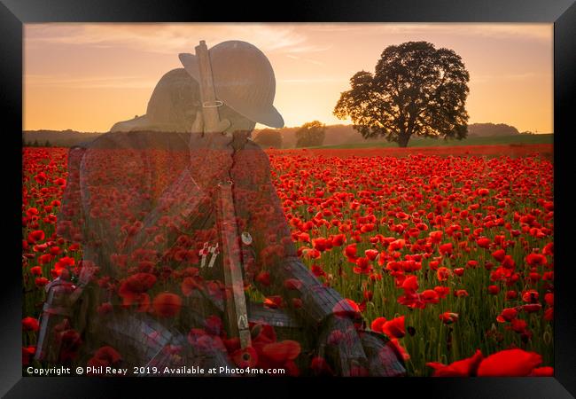 Tommy 1101 Framed Print by Phil Reay