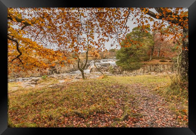 Autumn Leaves at Low Force Waterfall, Teesdale Framed Print by Richard Laidler