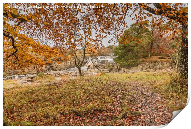 Autumn Leaves at Low Force Waterfall, Teesdale Print by Richard Laidler