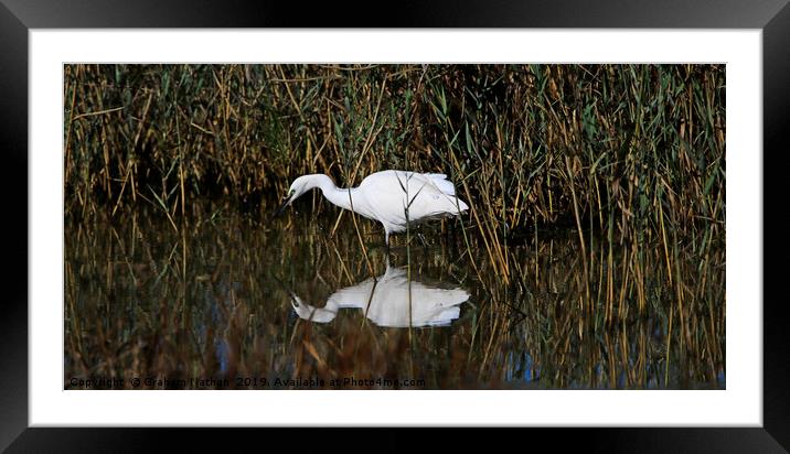 On the hunt Framed Mounted Print by Graham Nathan