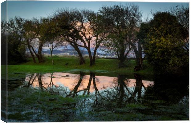 Flooding at Blackpill Canvas Print by Leighton Collins