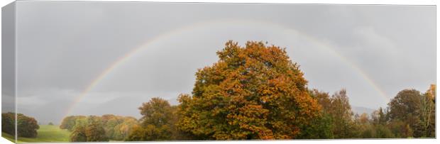 Double rainbow over a tree Canvas Print by Jason Wells