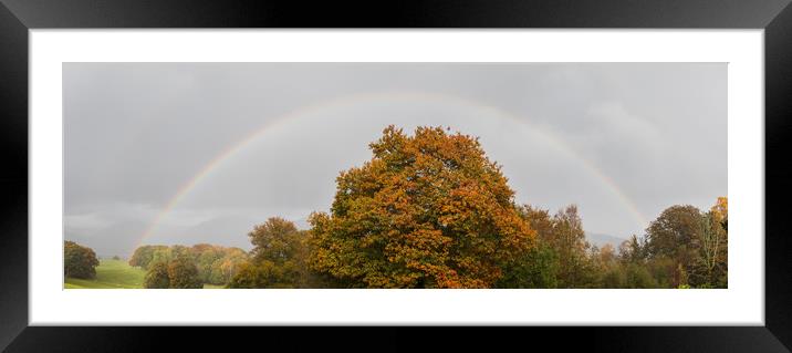 Double rainbow over a tree Framed Mounted Print by Jason Wells