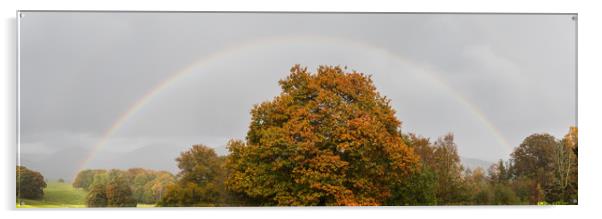 Double rainbow over a tree Acrylic by Jason Wells