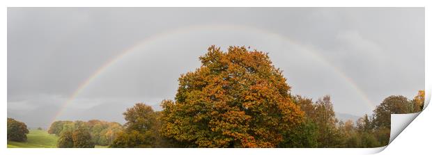 Double rainbow over a tree Print by Jason Wells