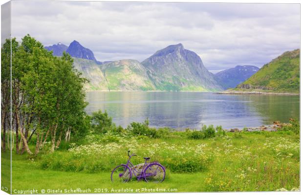 Violet Accents - On the Island of Senja  Canvas Print by Gisela Scheffbuch