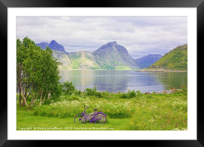 Violet Accents - On the Island of Senja  Framed Mounted Print by Gisela Scheffbuch